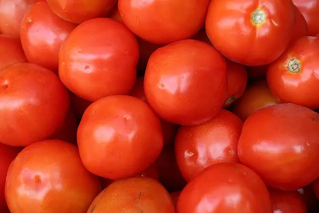 Les Légumes Asiatiques Faciles à Cultiver