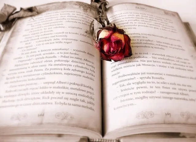 Best Affirmation Books for Self-Improvement