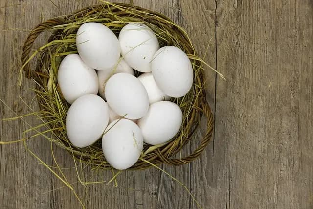 Ricette per Compleanno: Guide Unica per Festeggiare