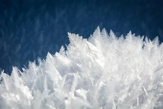 Ricette Invernali Confort: Guida Completa