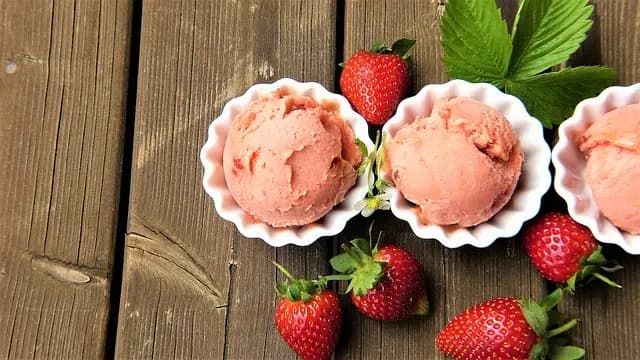 The Best Vegan Ice Cream Brands: A Comprehensive Guide