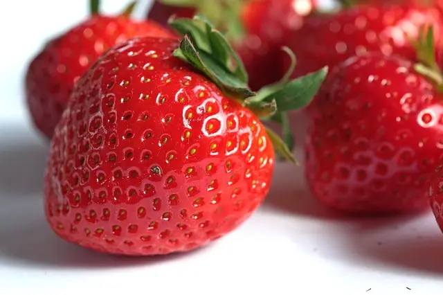 Complete Guide to Vegan Kids Diet Plan