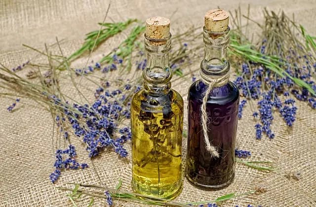 Best Calming Products for Pets: Ultimate Buying Guide
