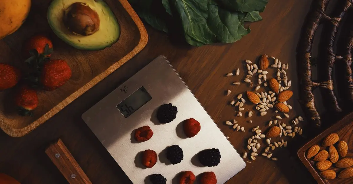 Vegan Nutrition Basics: What You Need to Know