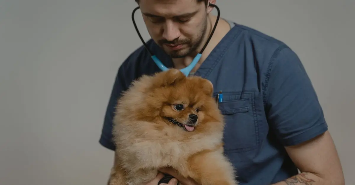 Common Pet Emergencies and Immediate Actions