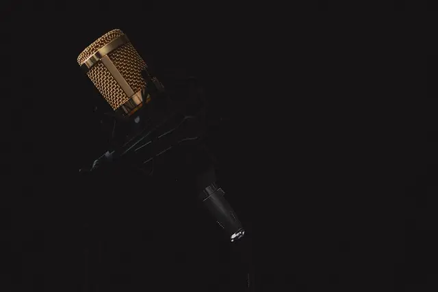 Guida alla Progettazione Audio: Ottimizza il Tuo Budget