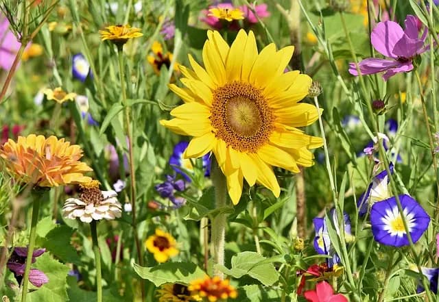 Éclairer votre jardin sans erreurs d'installation