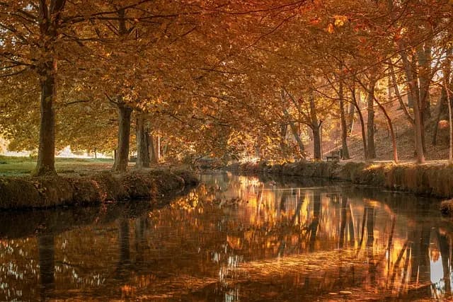 Le meilleur liquide de refroidissement pour tracteur