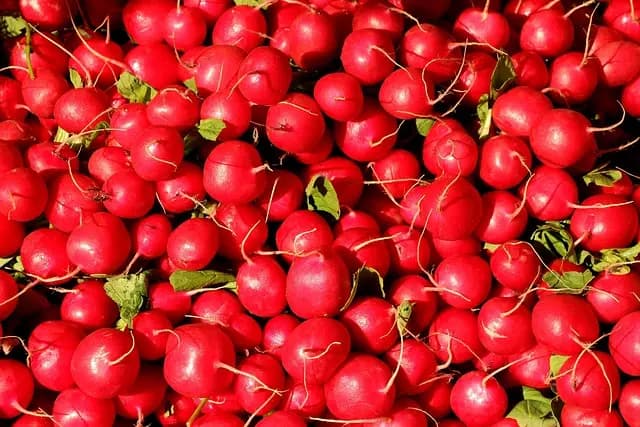 Savourez l'automne avec la soupe de courge locale