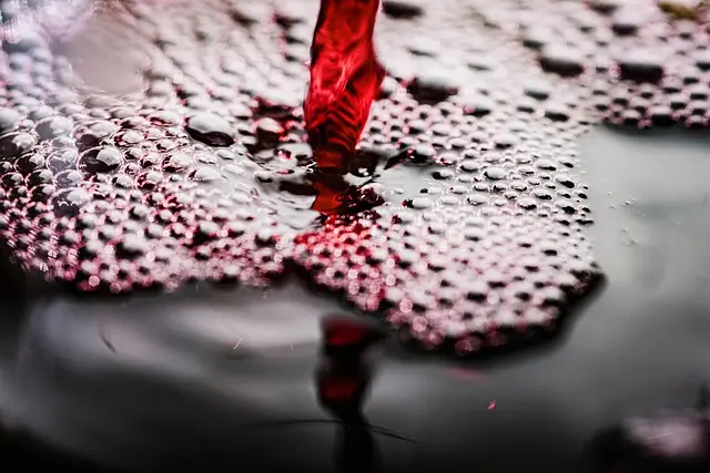 Encres économiques pour grands volumes : guide d'achat
